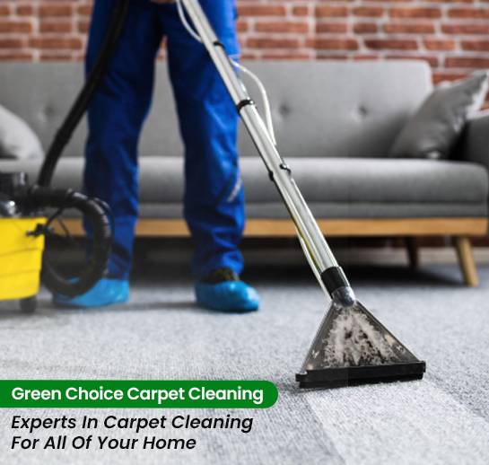 carpet cleaning | Carpet Cleaning Bronx