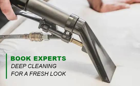 carpet cleaning | Carpet Cleaning Bronx