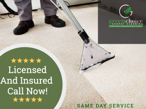 Green Carpet cleaning in Bronx