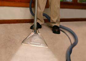 green carpet cleaning