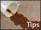 carpet cleaning blog