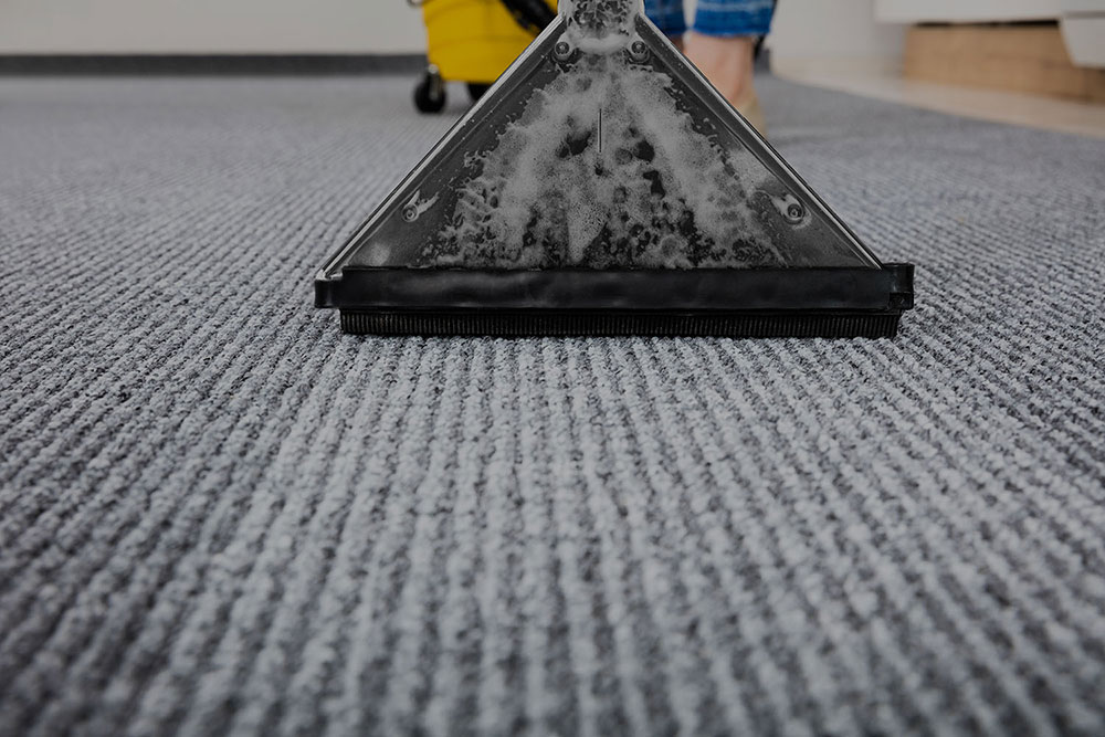 carpet cleaning mobile service in Long Island