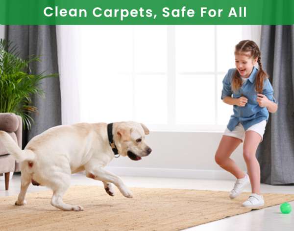 Pet Safe Cleaning