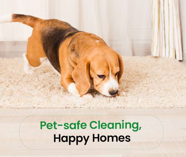 Pet Safe Cleaning