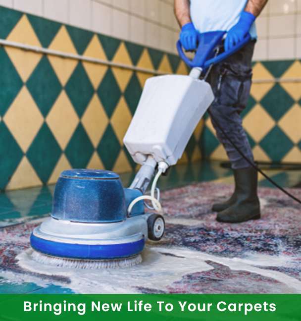 carpet cleaning