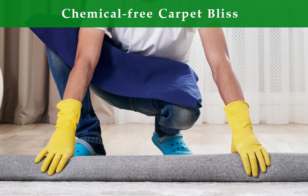 carpet cleaning Manhattan