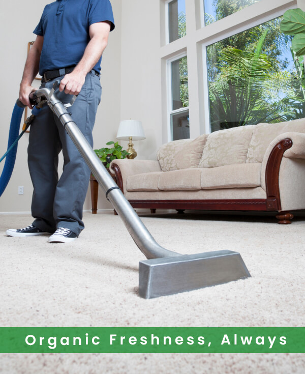 carpet cleaning Manhattan