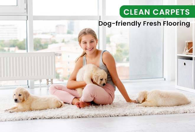 Pet Safe Cleaning Manhattan