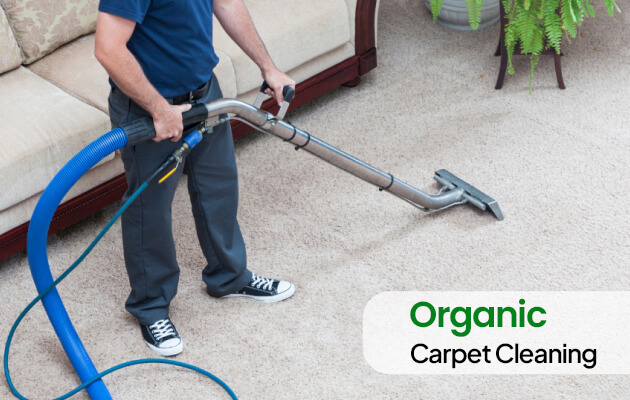 carpet cleaning Manhattan