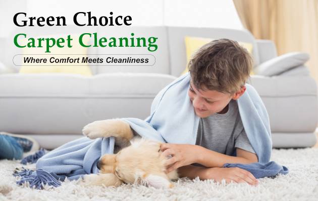 Pet Safe Cleaning Manhattan