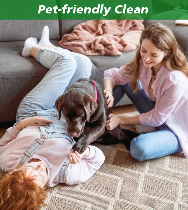Pet Safe Cleaning